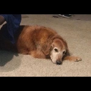 Meet your Posher, Cathy